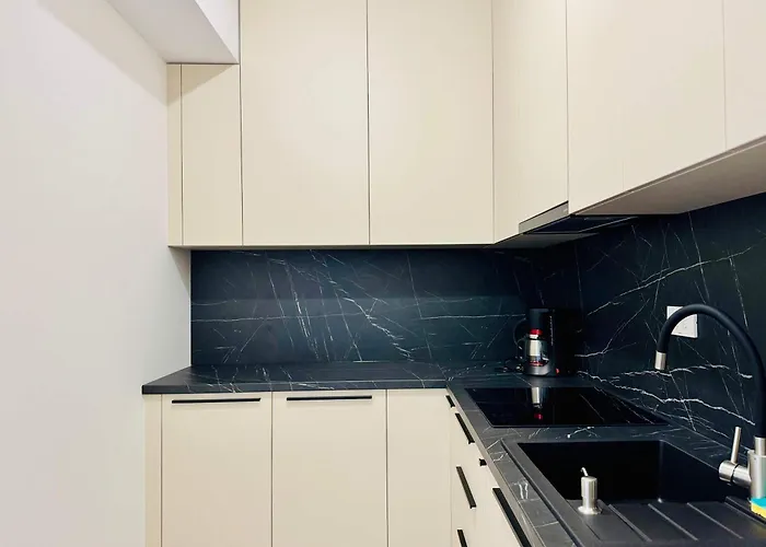 Joy Mara M11-9 Appartement Timişoara